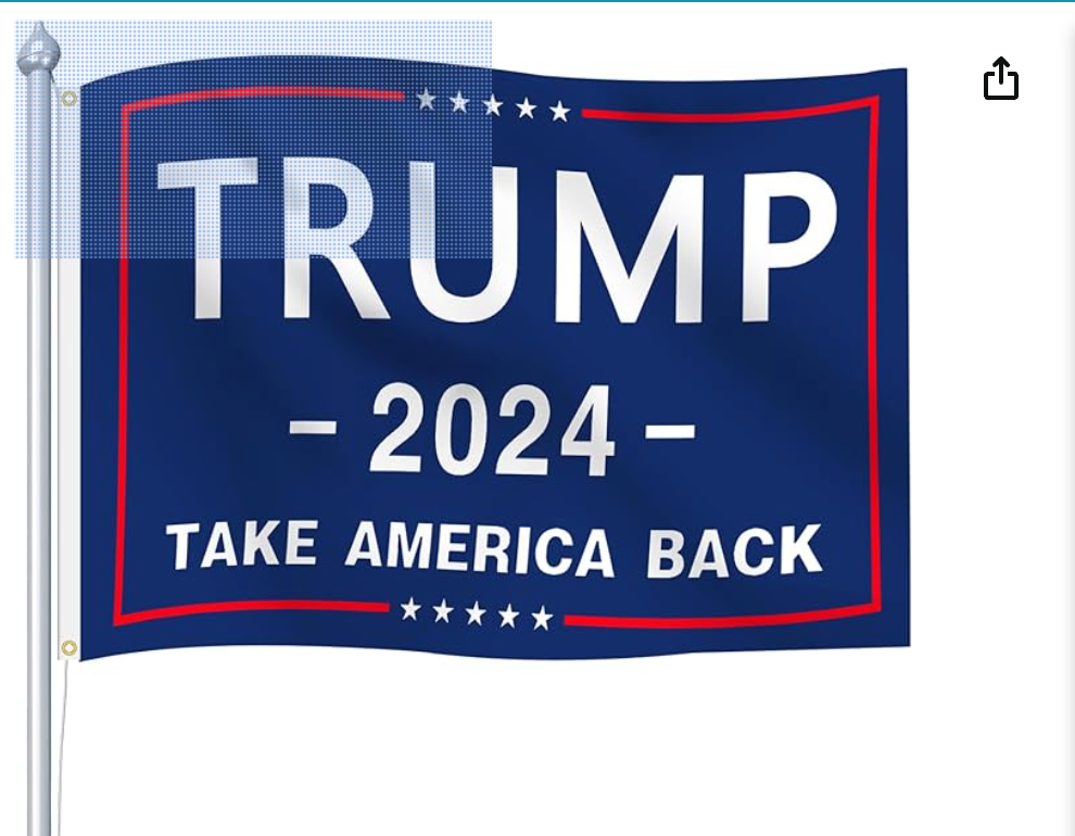 Trump 2024 Take America Back